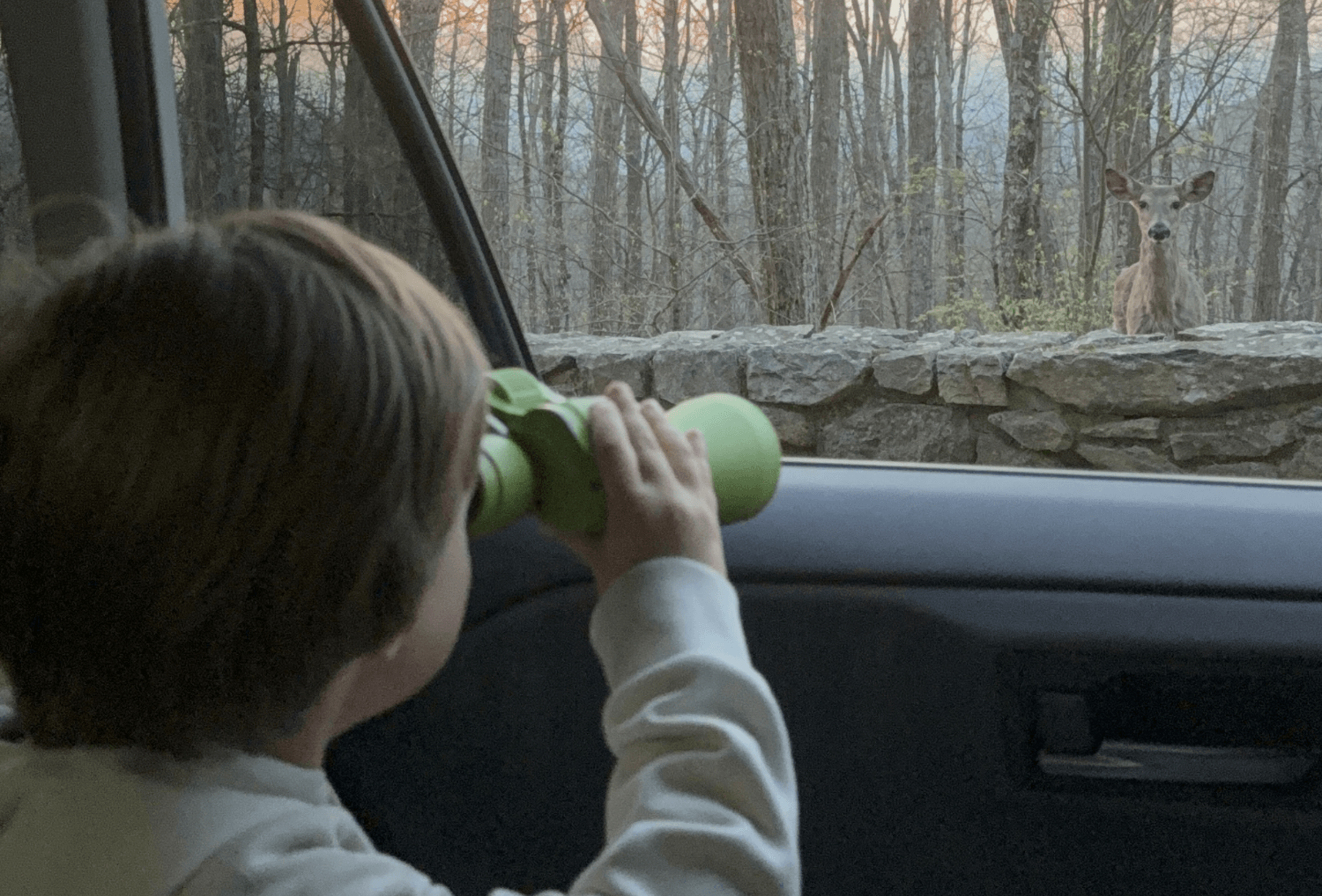 Kind sport een hert in Shenandoah National Park