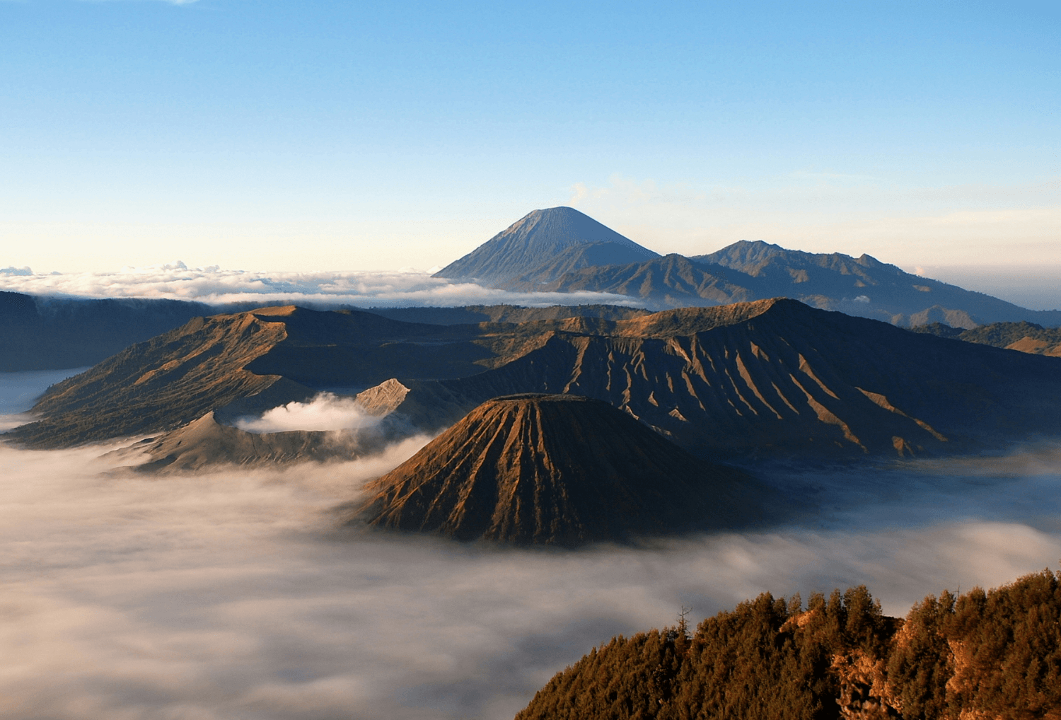 Bromo
