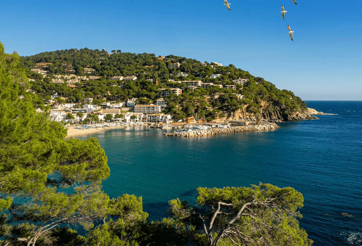 Zee costa brava