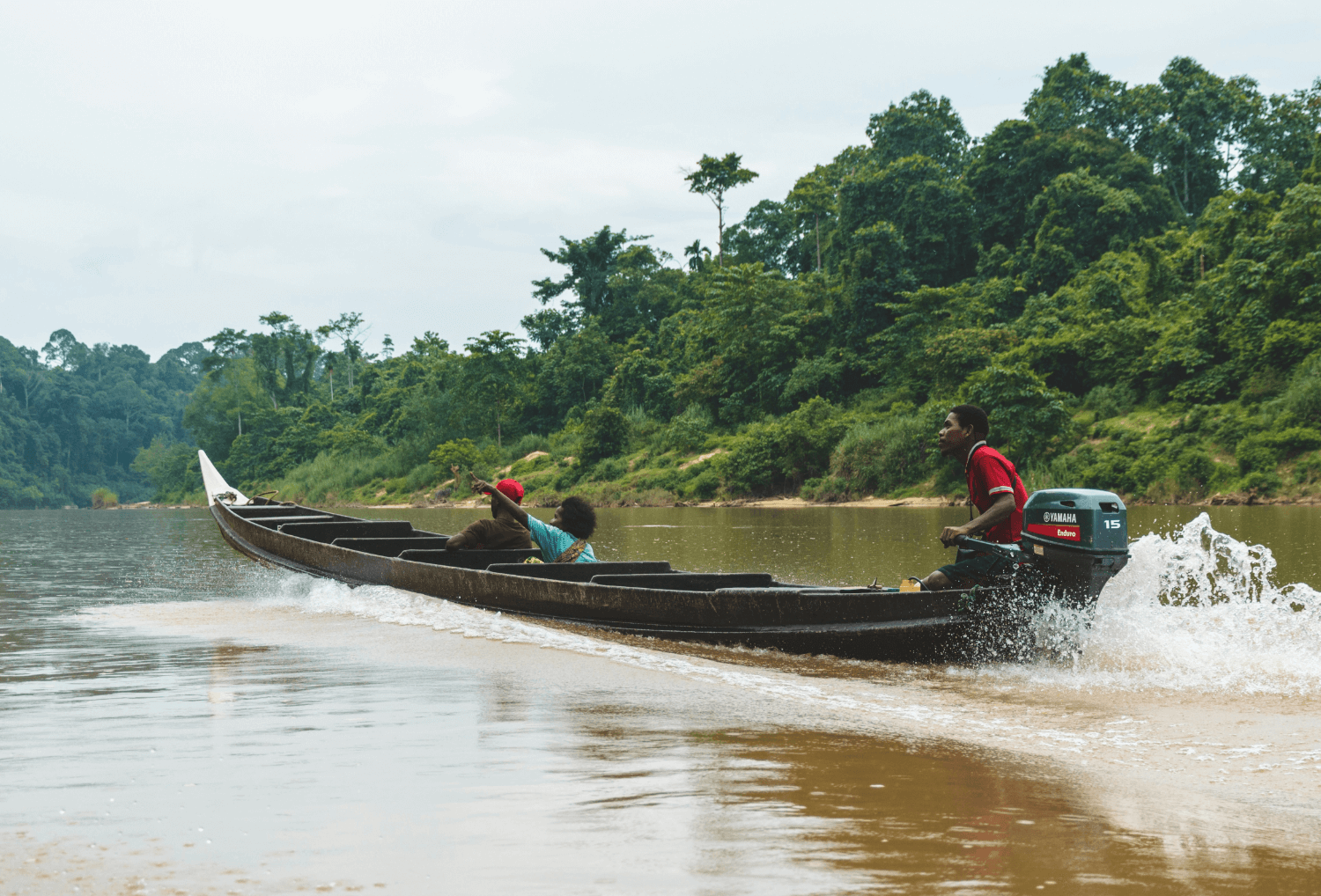 Taman Negara