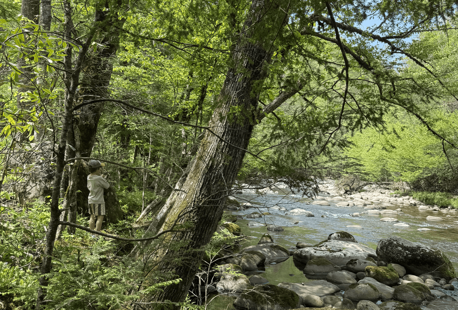 Rivier in Smoky Mountains