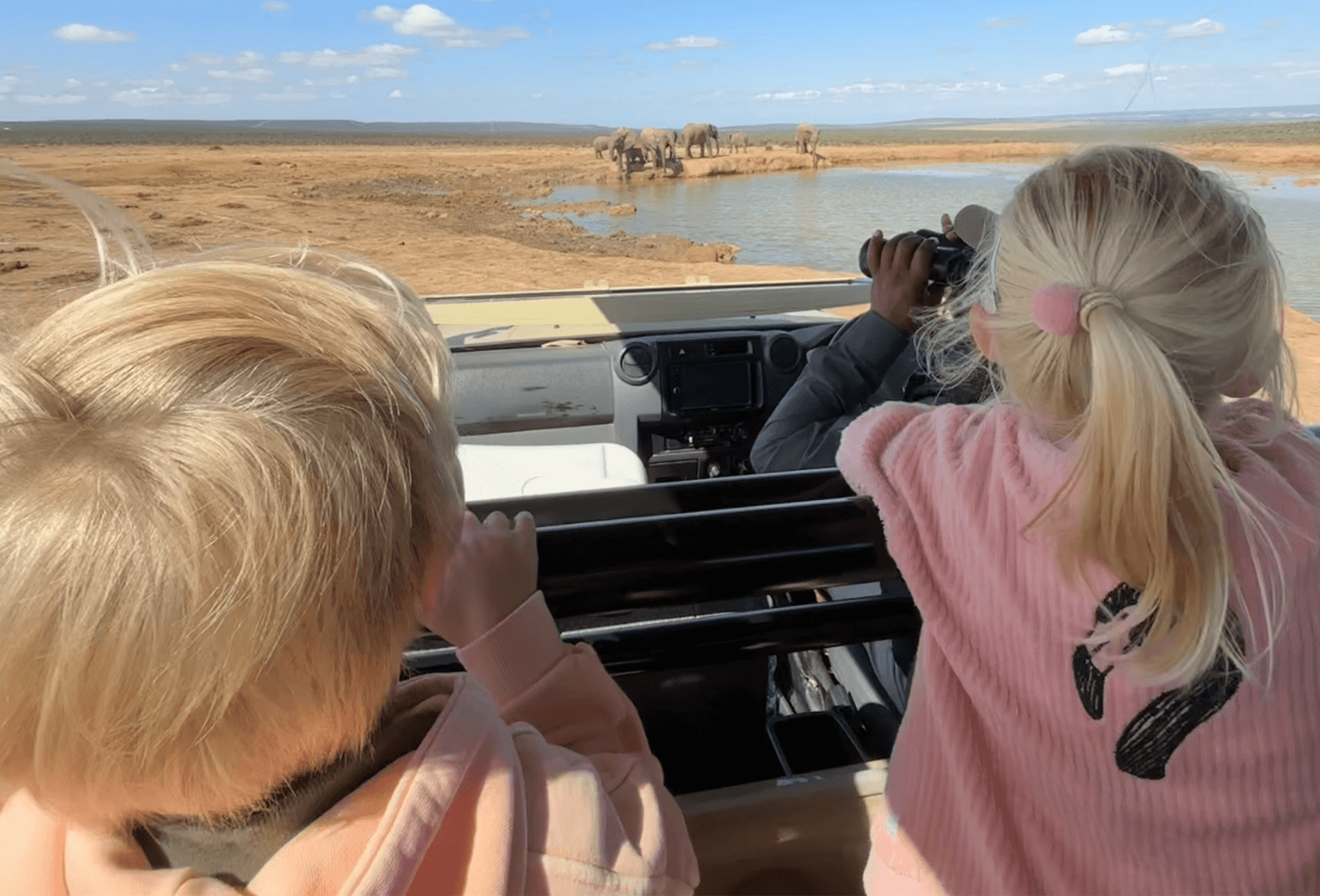 Kinderen zicht op olifanten in Addo Elephant Park