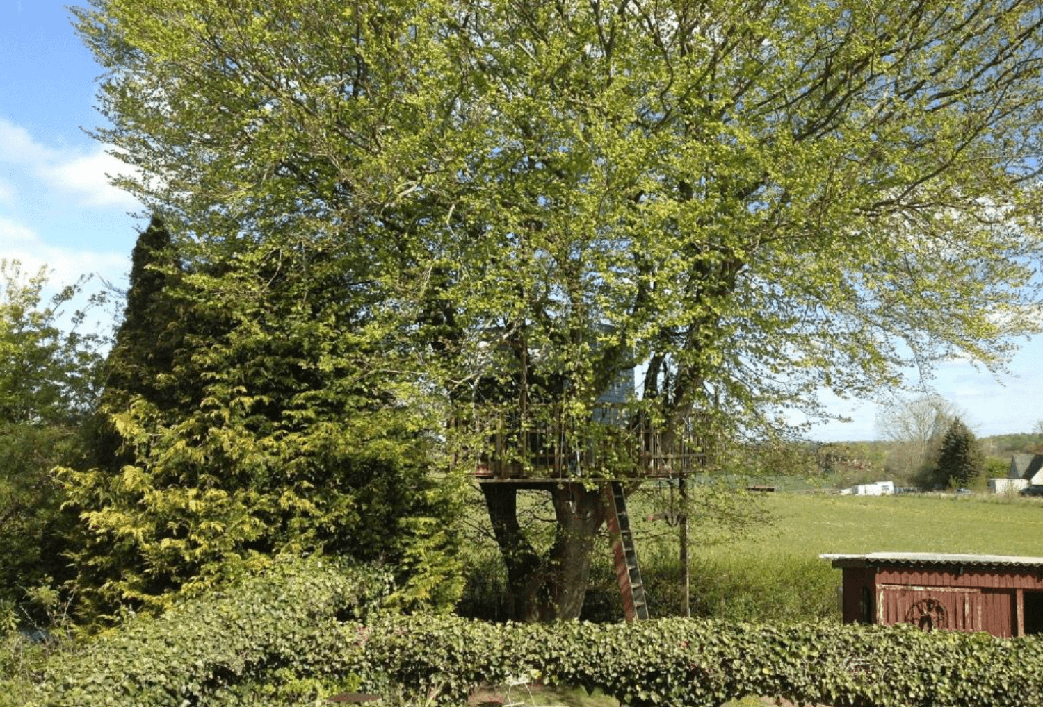 boomhut Treehouse Escape