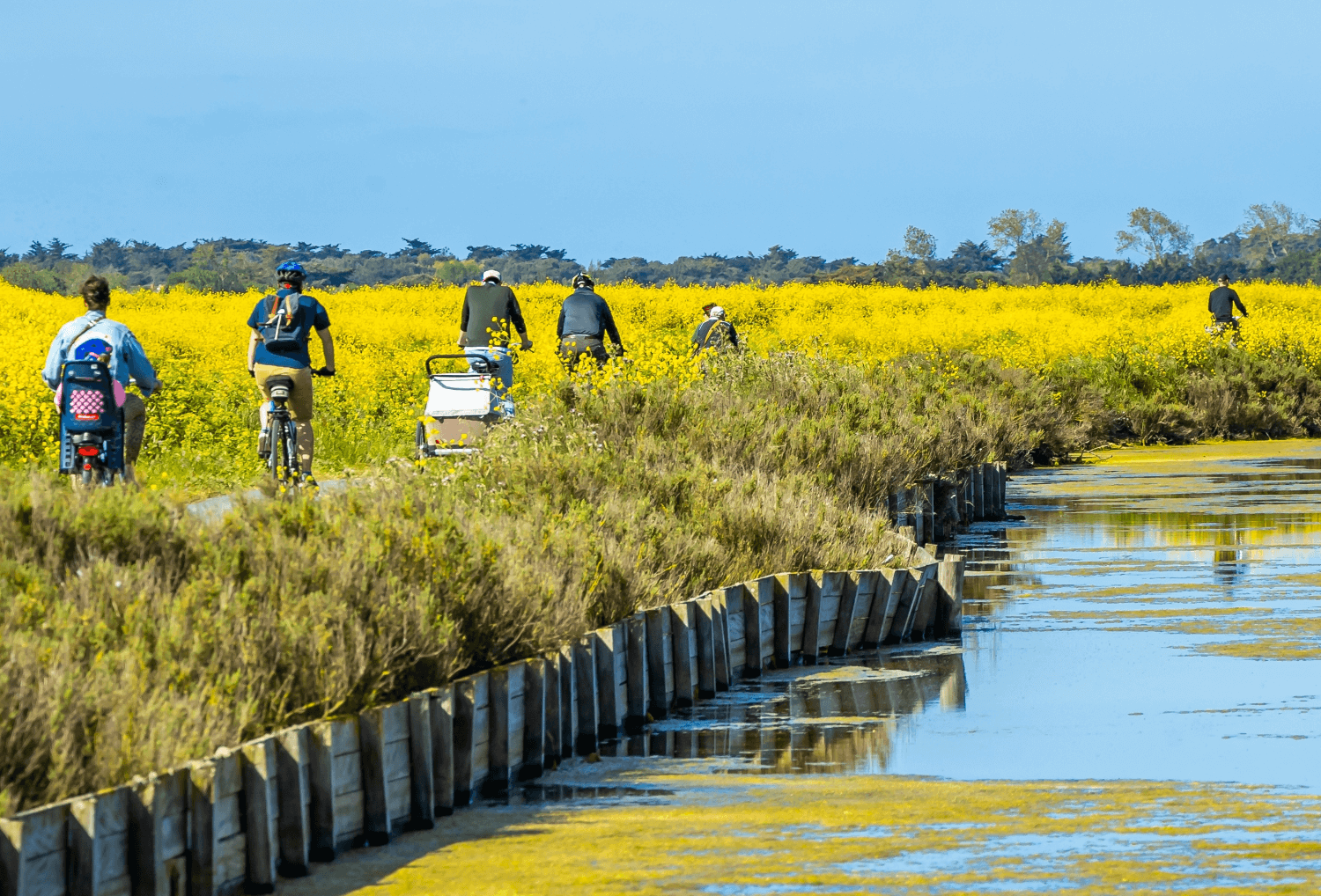 Île de Ré fietsen met kinderen