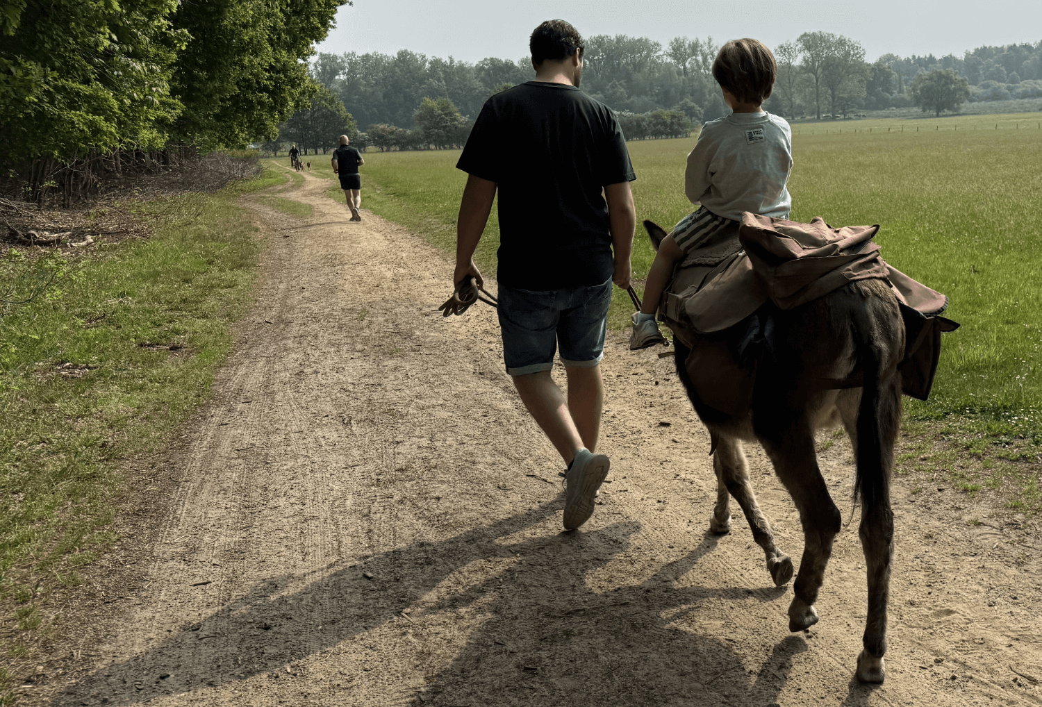 kinderen wandelen met ezel in Diest