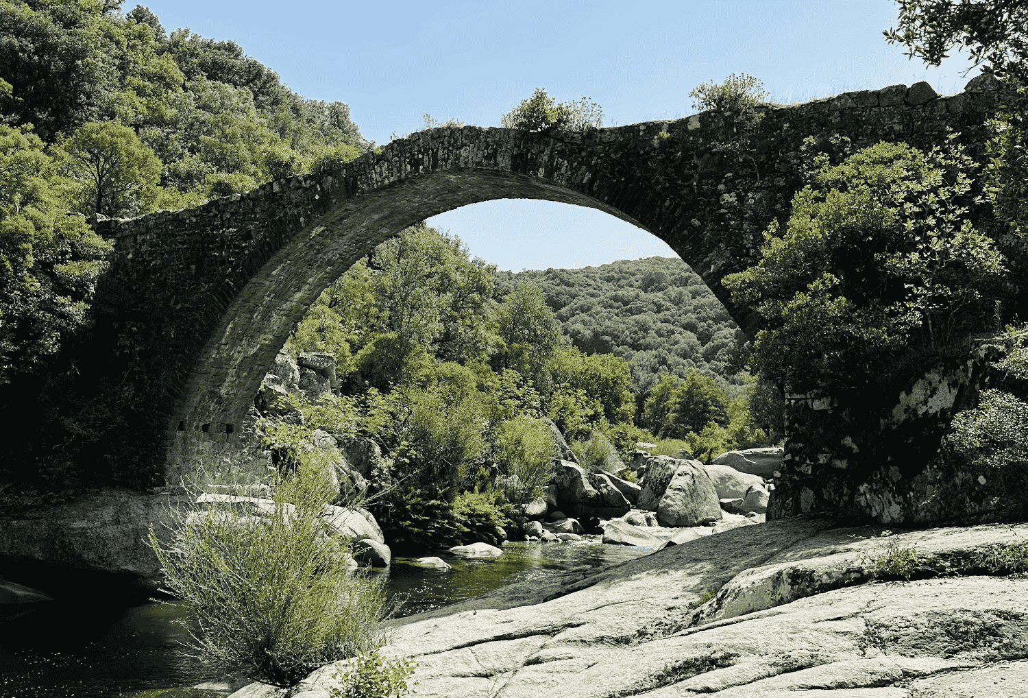 natuur in Corsica