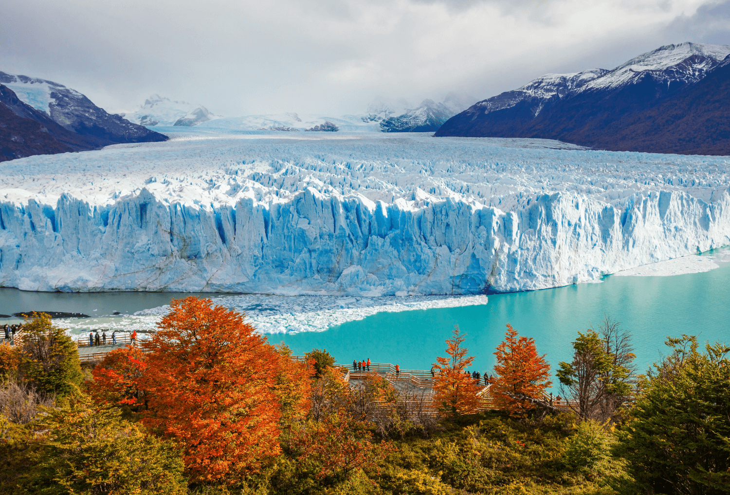 Argentinie-gletsjer