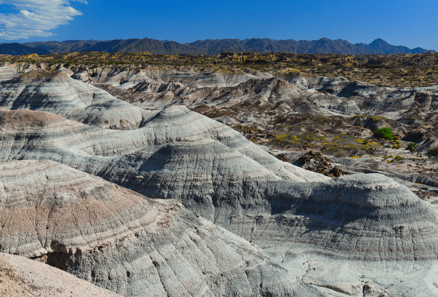 Argentinië-mooiste-plekken-Ischigualasto