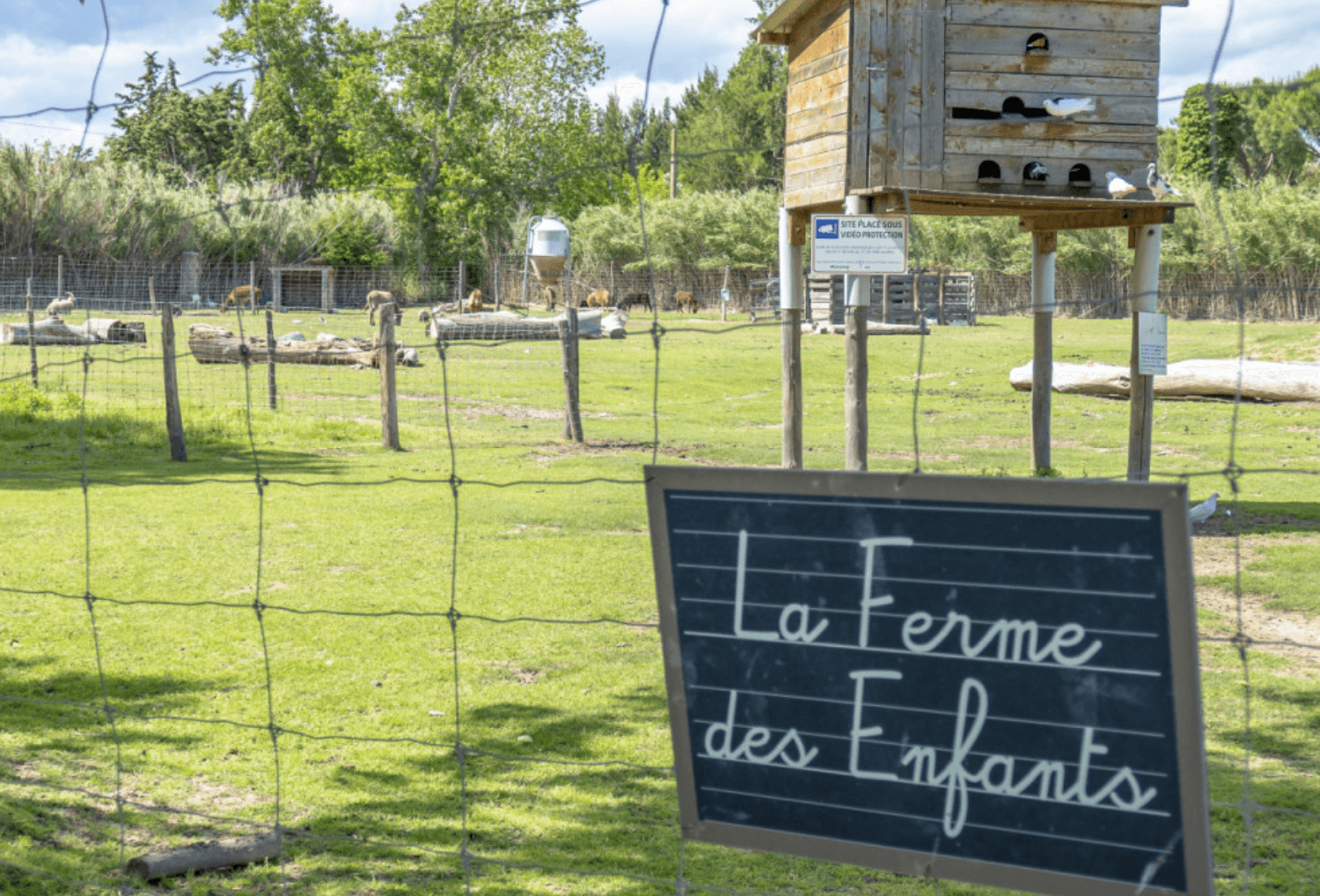 Camping-Les-Fontaines-Languedoc-Roussillon