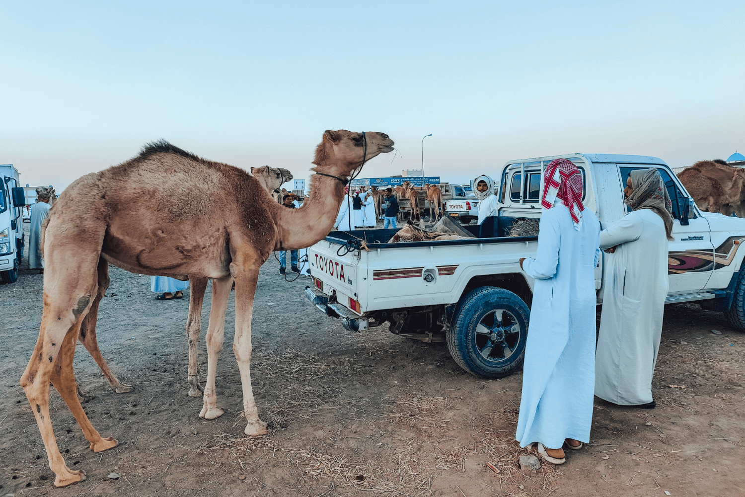 Oman-vakantie