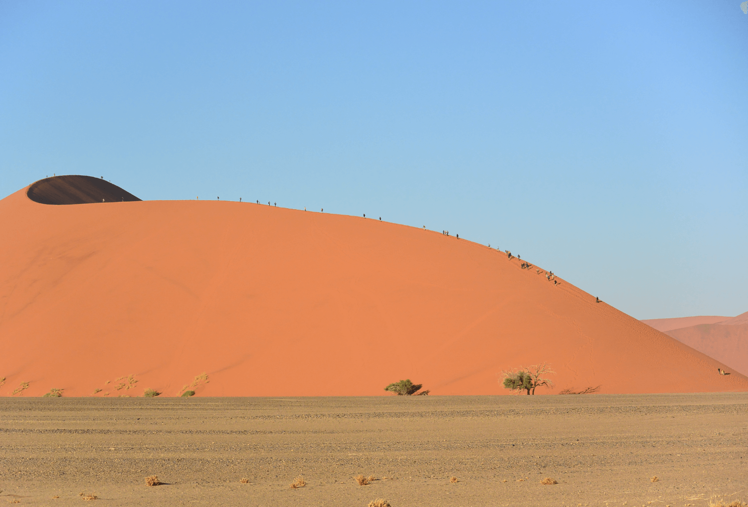 Namibie-1-duinen-woestijn-sossusvlei