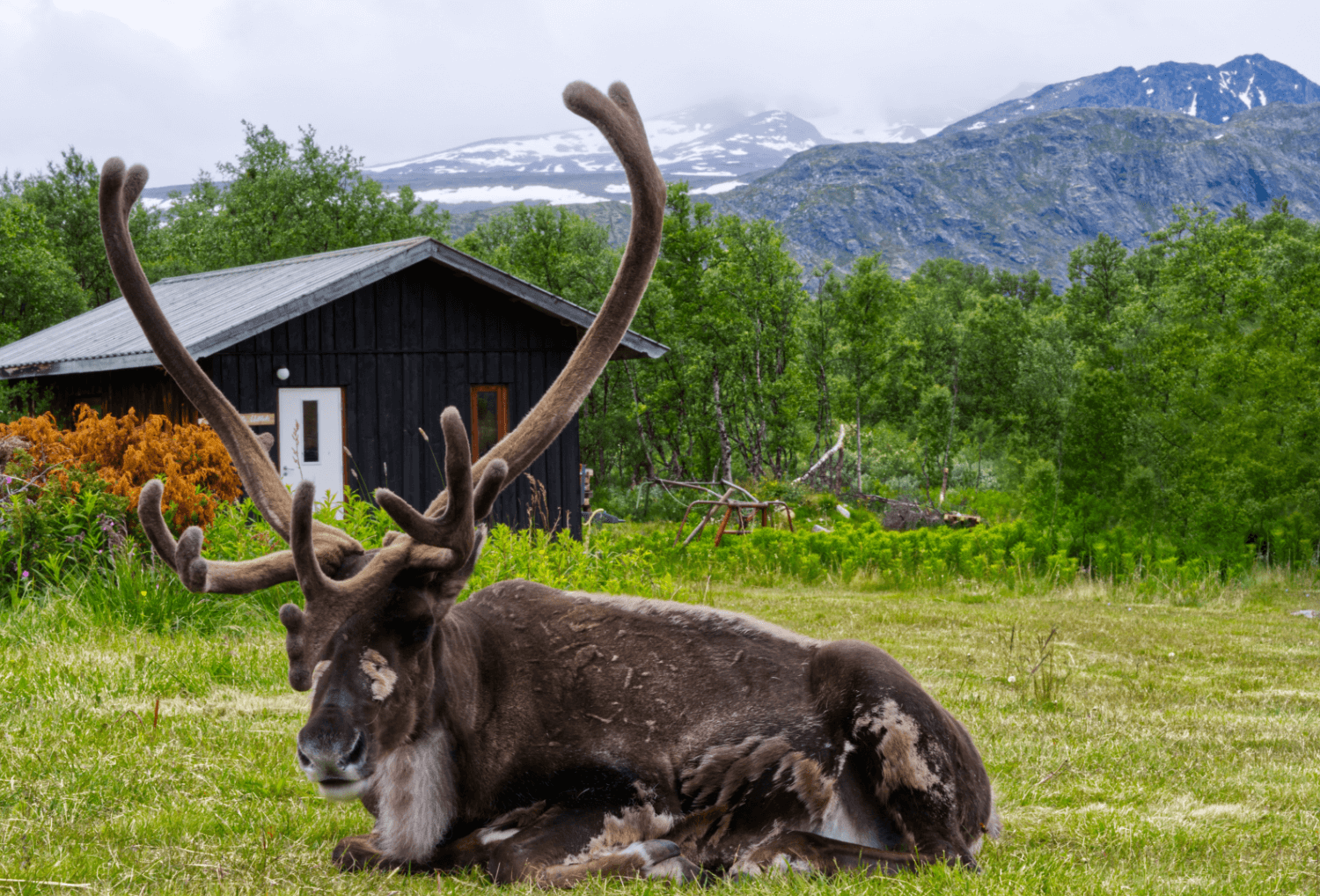 Noorwegen-mooiste-plekken-5-otunheimen-Nationaal-Park