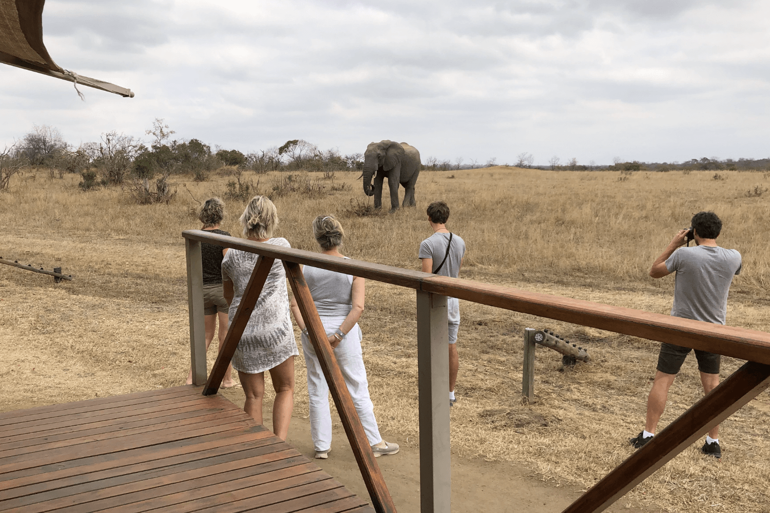 Zuid-Afrika-met-kinderen–safari-thornybush-game-reserver-olifant-vanuit-lodge.png