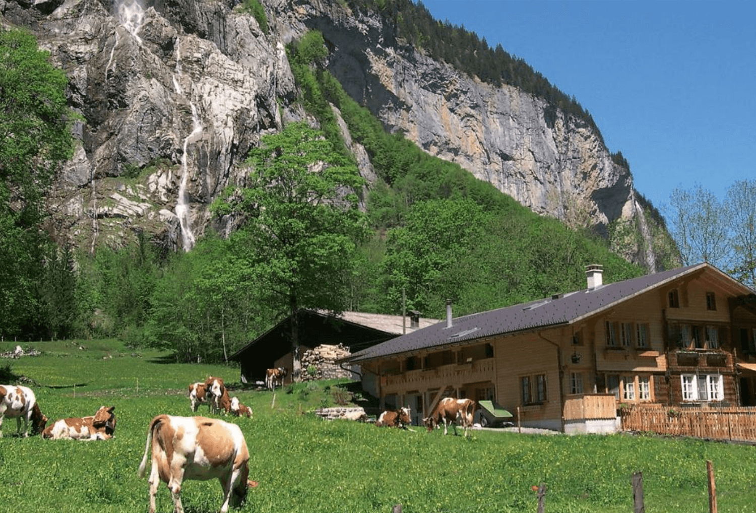 Zwitserland-campings-1-Camping-Jungfrau