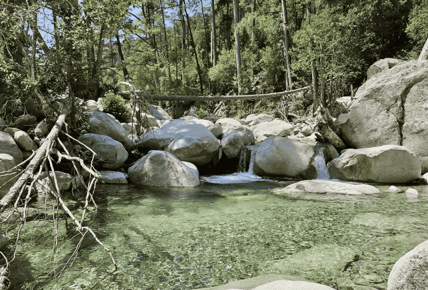 prachtige rivier in de natuur van corsica