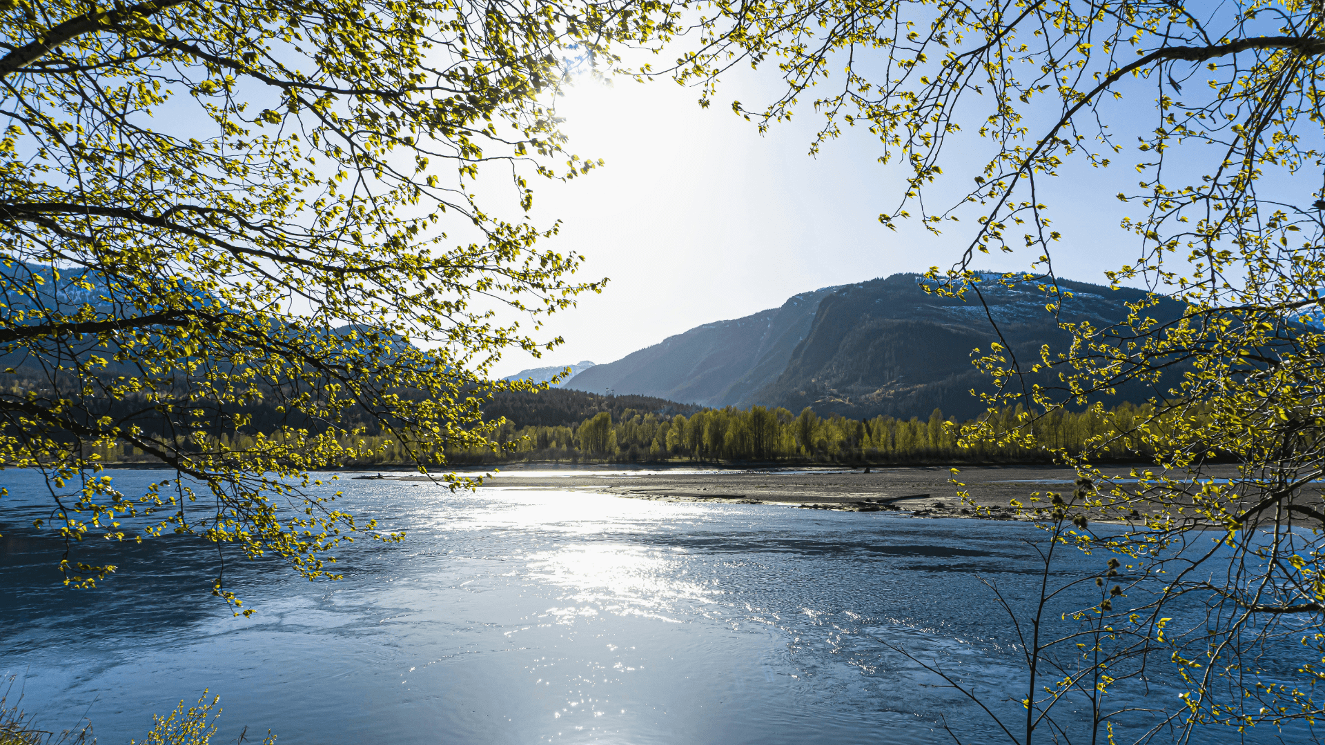 Revelstoke National Park