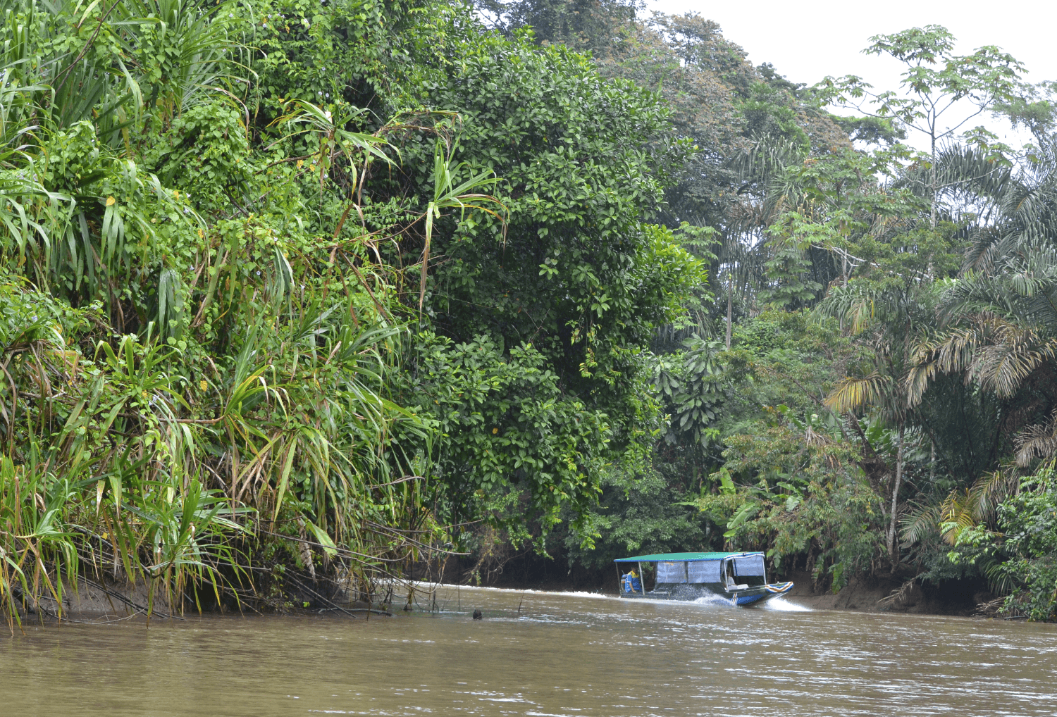 Tortuguero national park bootje door de kanalen