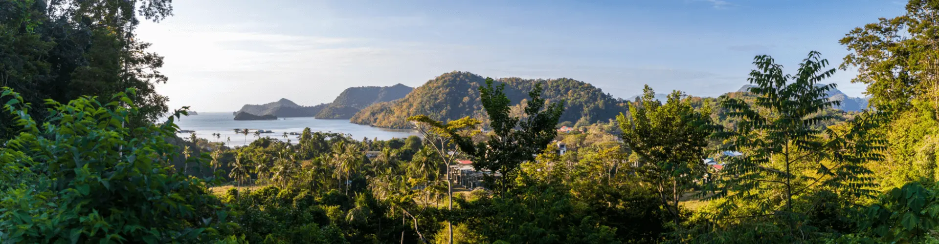 Banner image WeDiscover