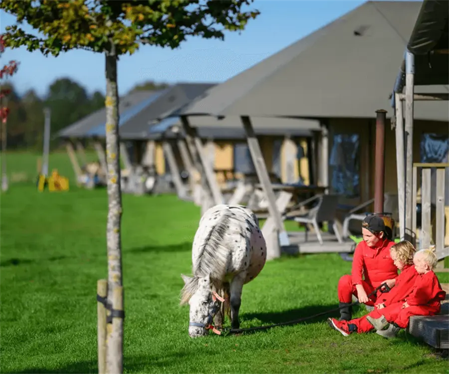 Boerencamping De Smulhoeve – FarmCamps WeDiscover