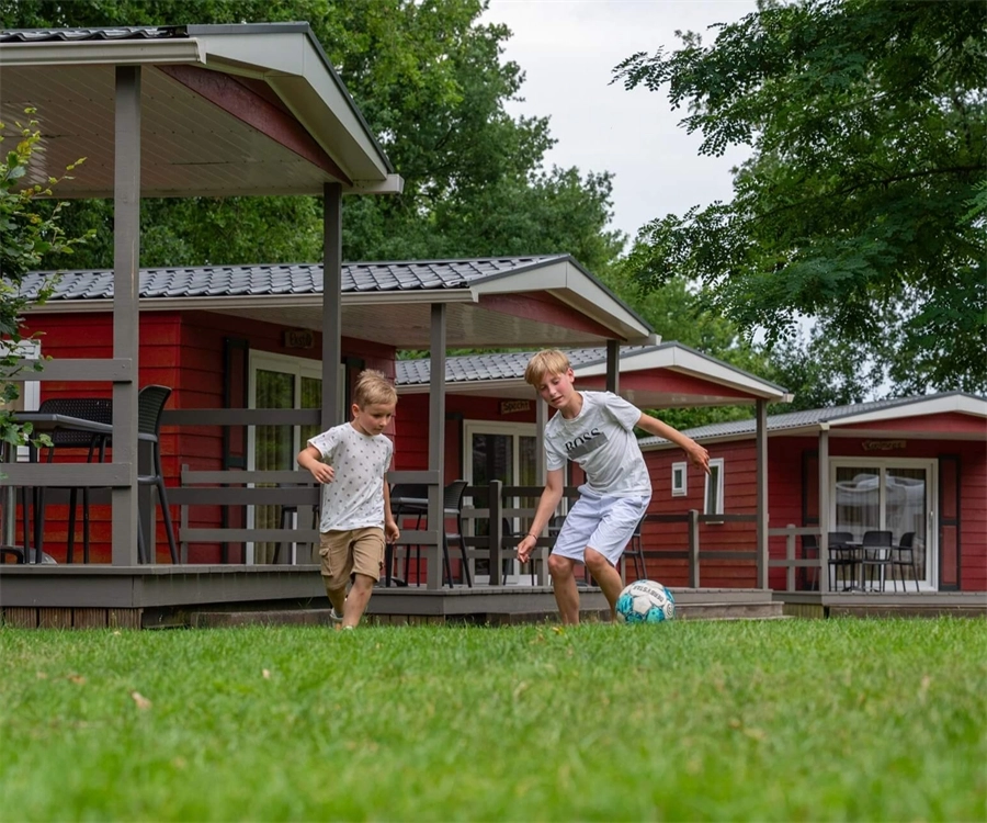 Veluwecamping ’t Schinkel WeDiscover