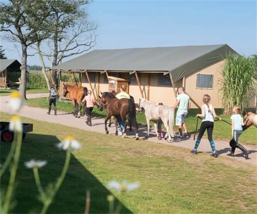 Boerencamping Breehees – FarmCamps WeDiscover