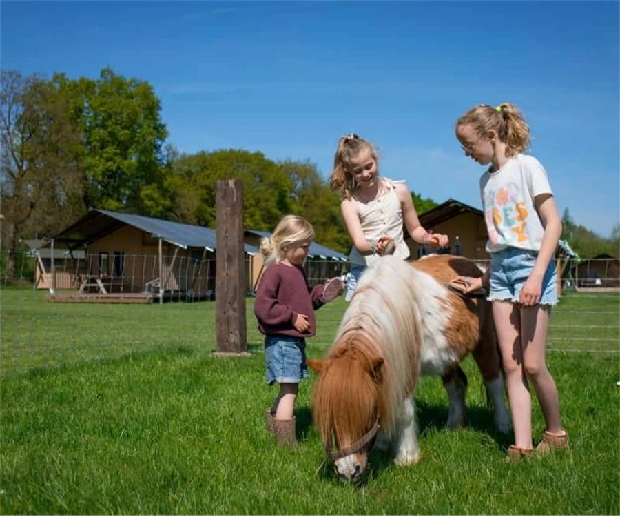 Boerencamping De Bosrand – FarmCamps WeDiscover