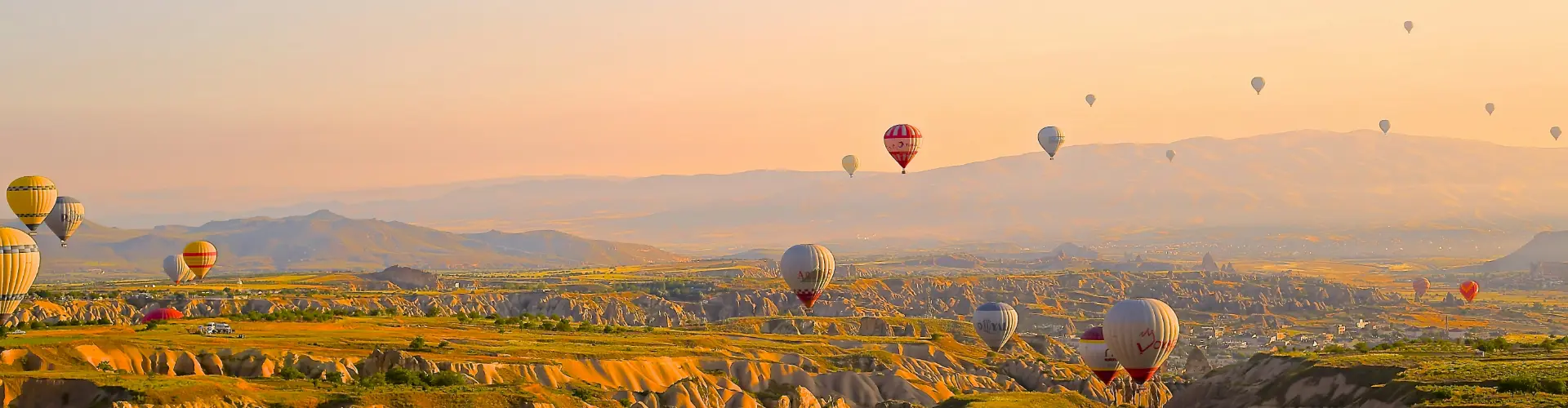 Banner image WeDiscover