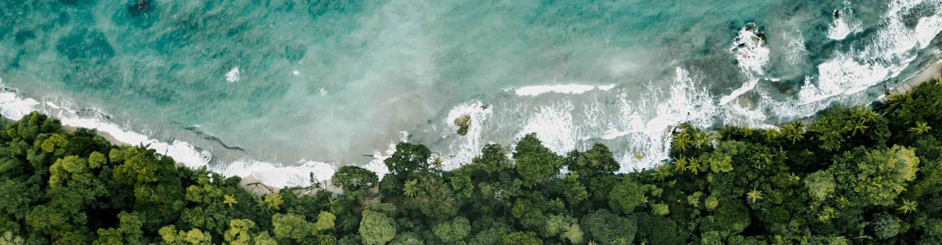 Banner image WeDiscover