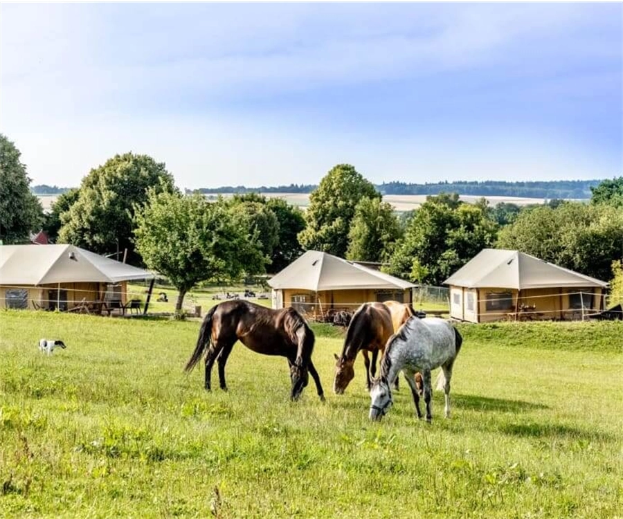 Boerencamping Soodehof Eins – FarmCamps WeDiscover