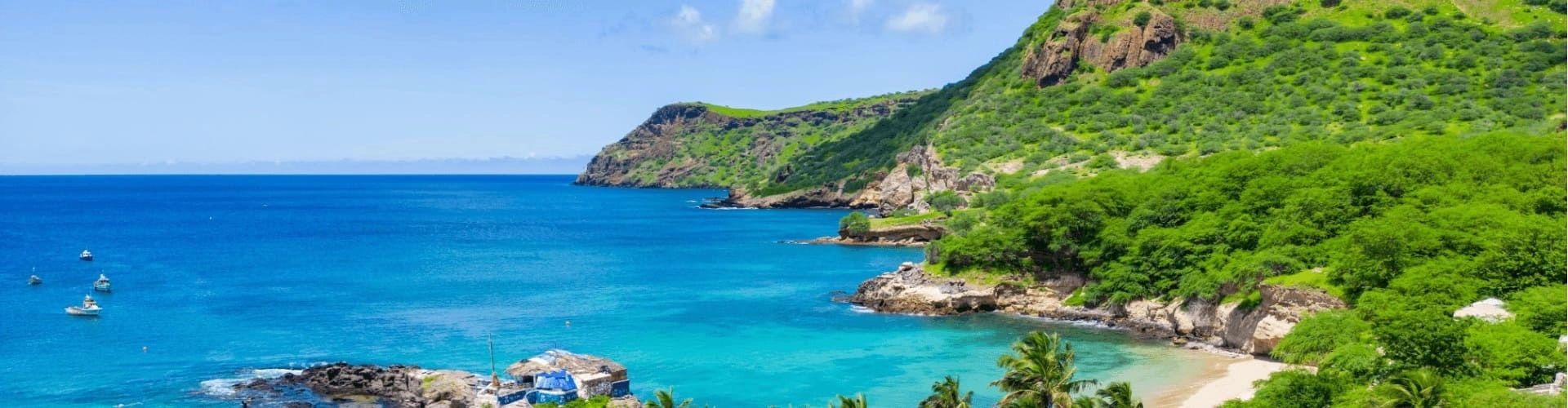 Banner image WeDiscover