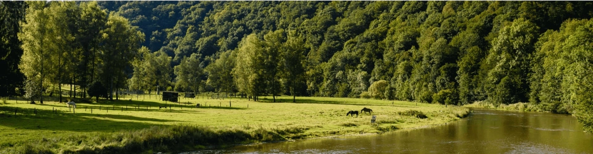 Banner image WeDiscover