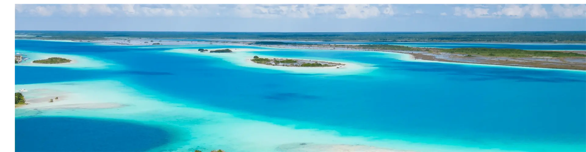 Banner image WeDiscover