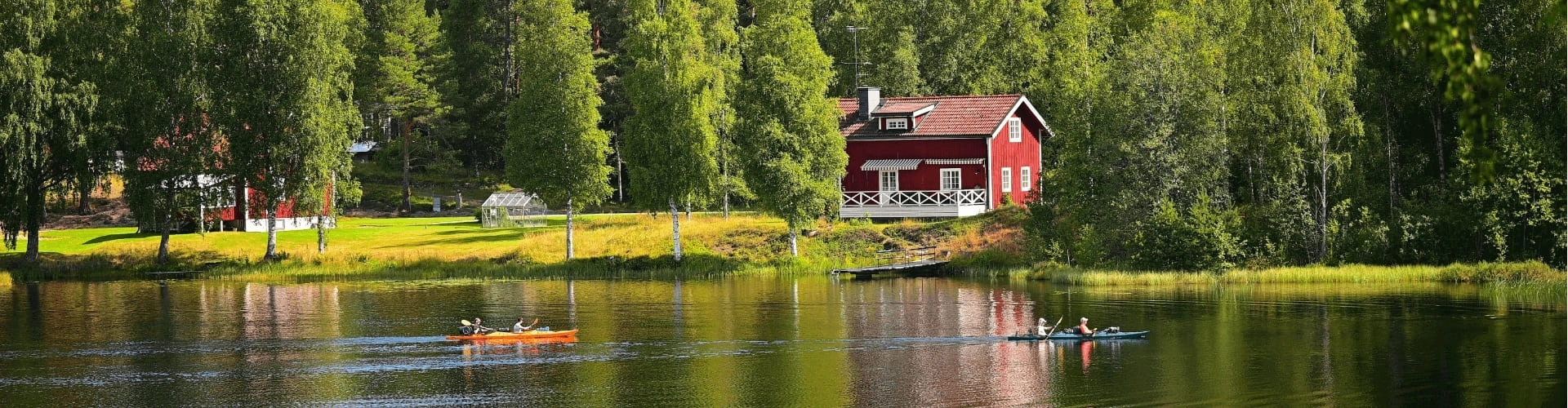 Banner image WeDiscover