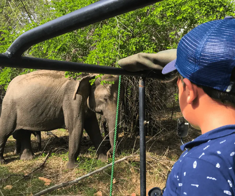 Sri Lanka met kinderen WeDiscover