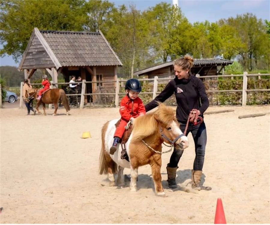 Boerencamping BoeBaDoe – FarmCamps WeDiscover