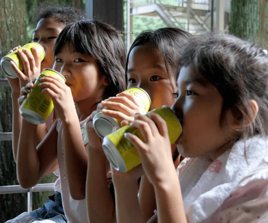 Japan met kinderen WeDiscover