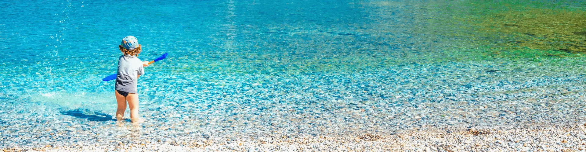 Banner image WeDiscover