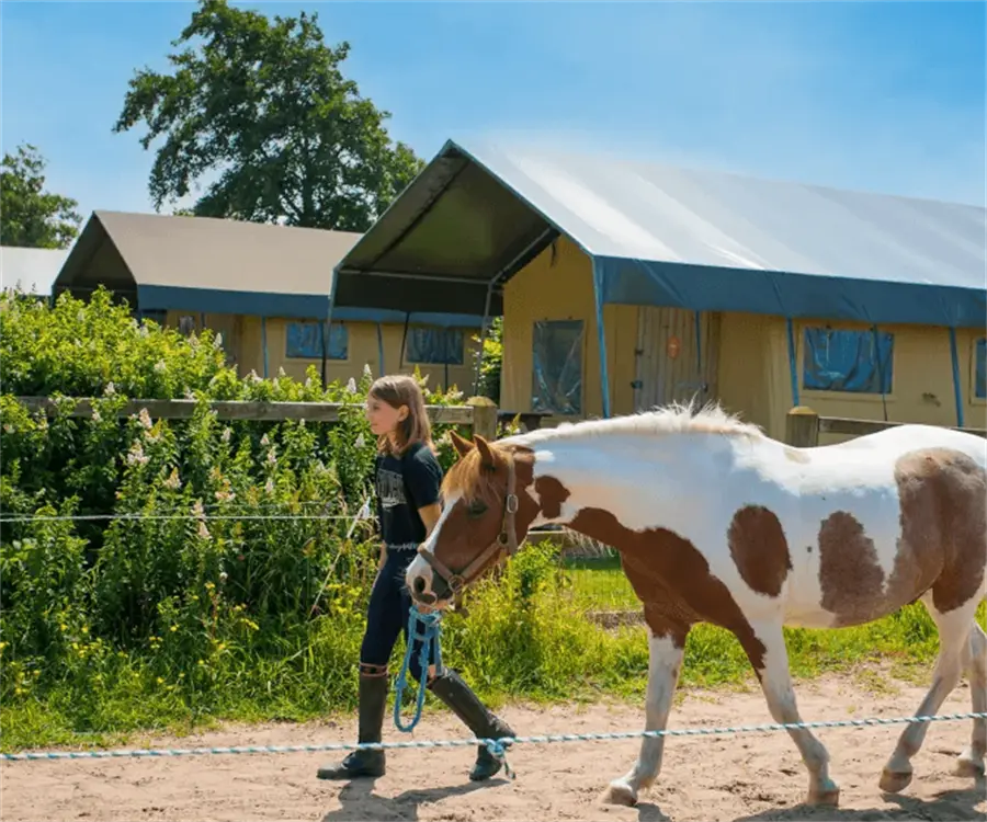 Boerencamping Fleur Stables – FarmCamps WeDiscover