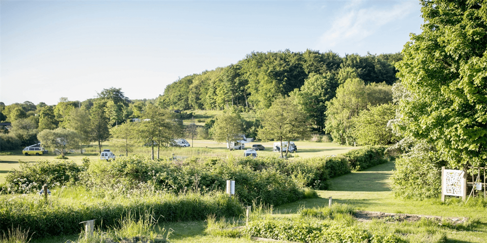 Kindvriendelijke campings in Denemarken