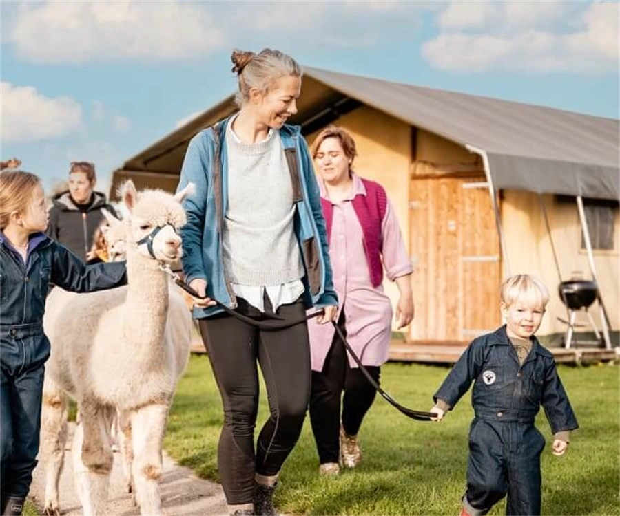 Boerencamping Alpaca Vorstenbosch – FarmCamps WeDiscover