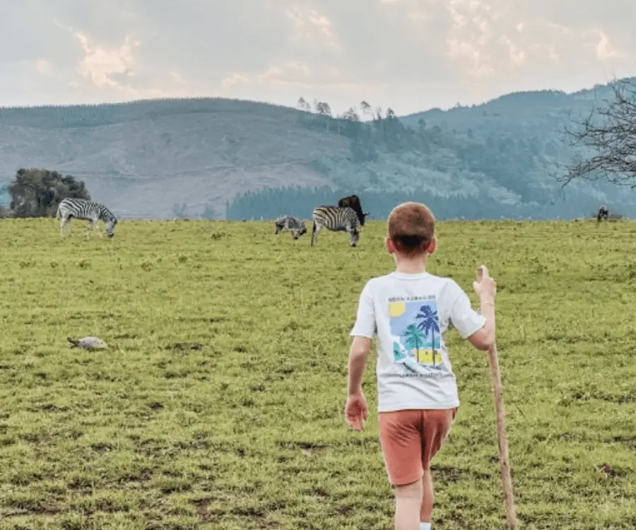 Zuid-Afrika met kinderen WeDiscover