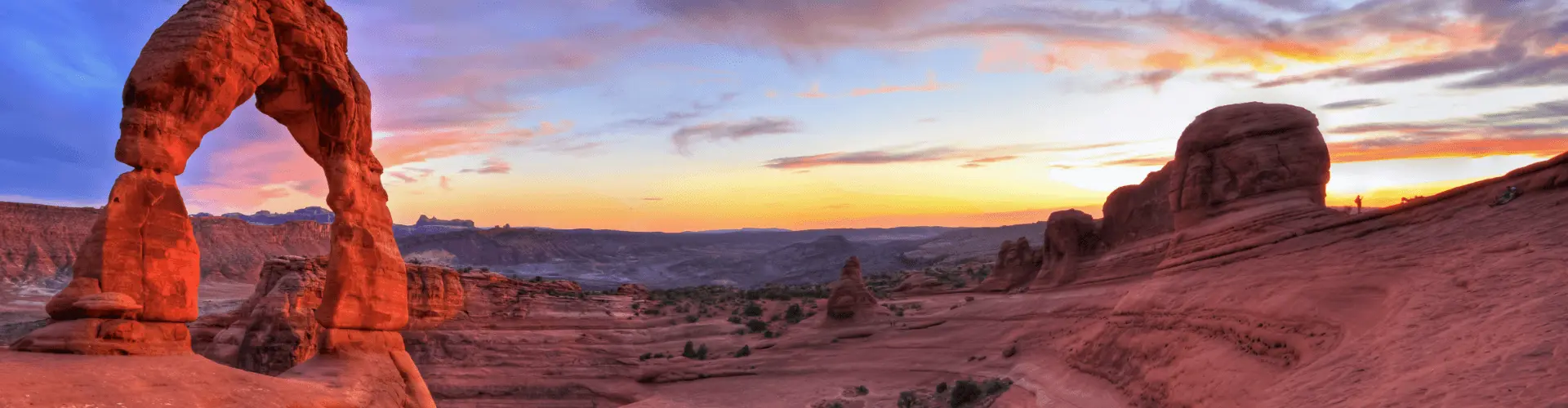 Banner image WeDiscover