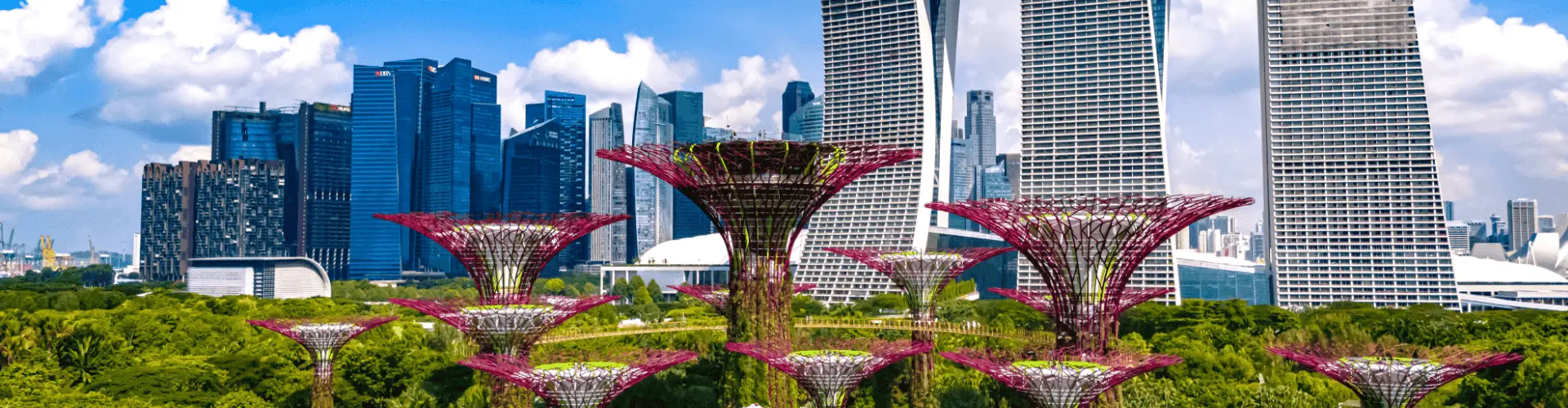 Singapore WeDiscover