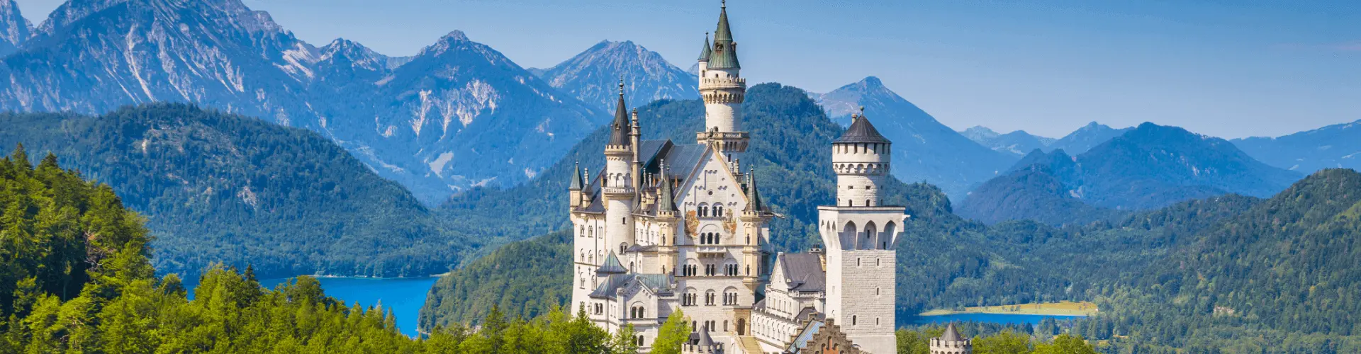 Banner image WeDiscover