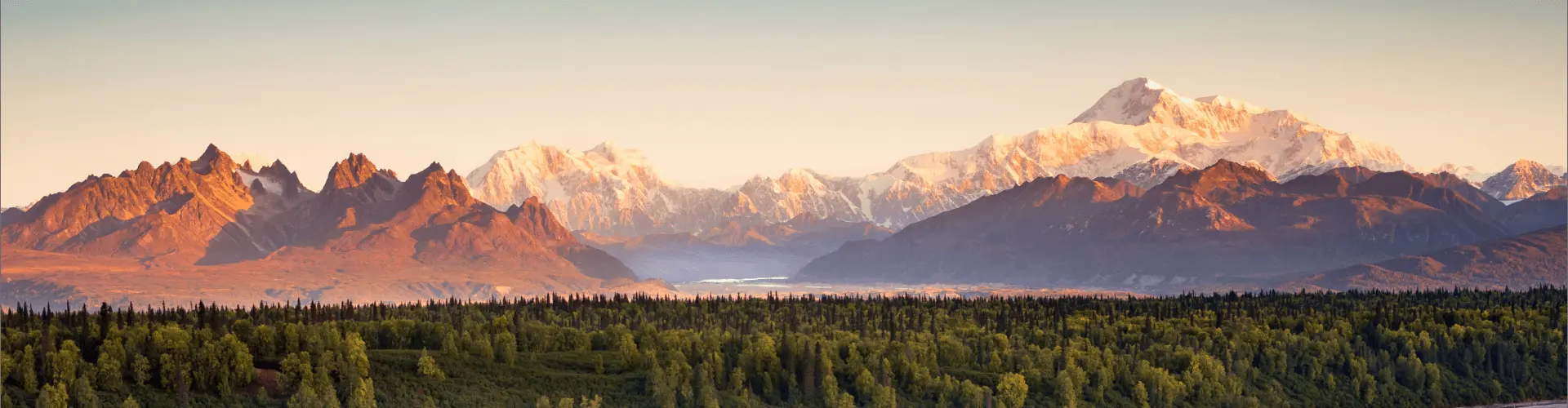 Banner image WeDiscover