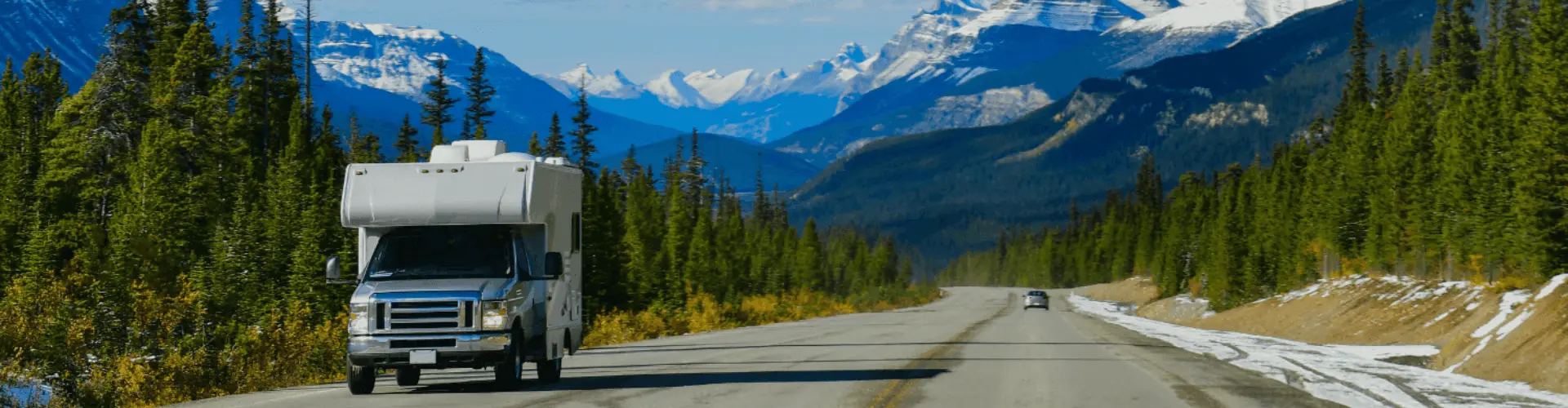 Banner image WeDiscover