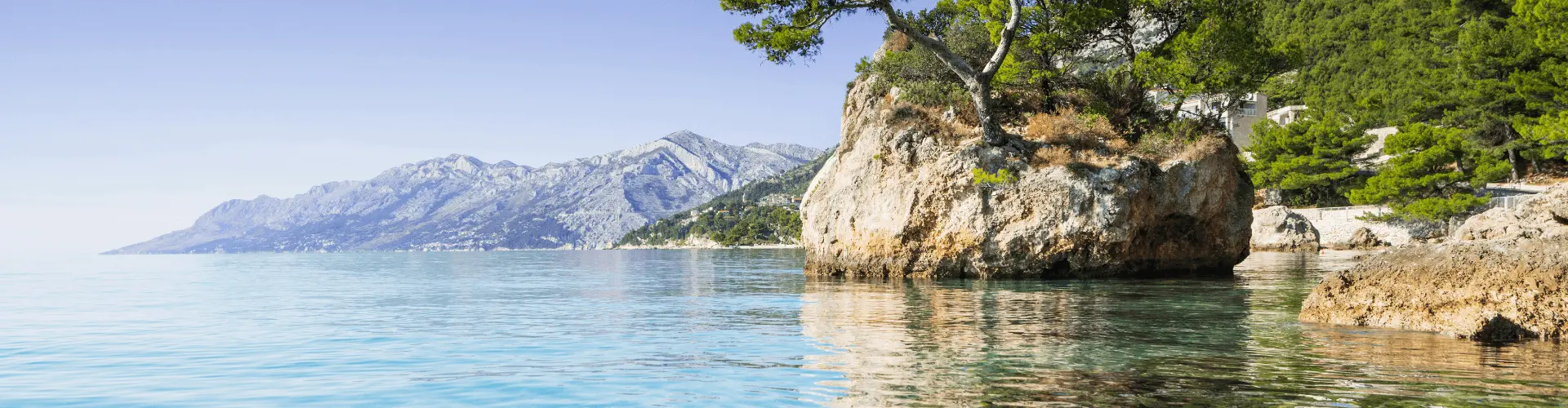 Banner image WeDiscover