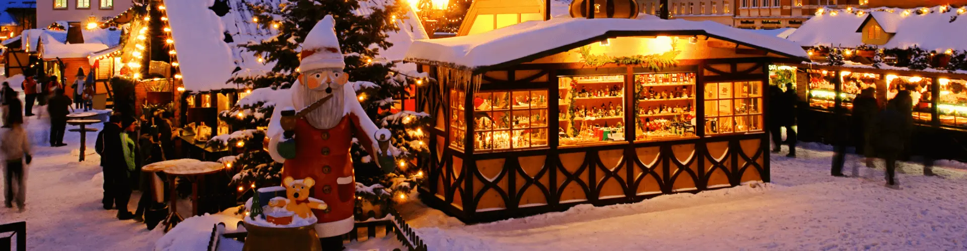 Banner image WeDiscover