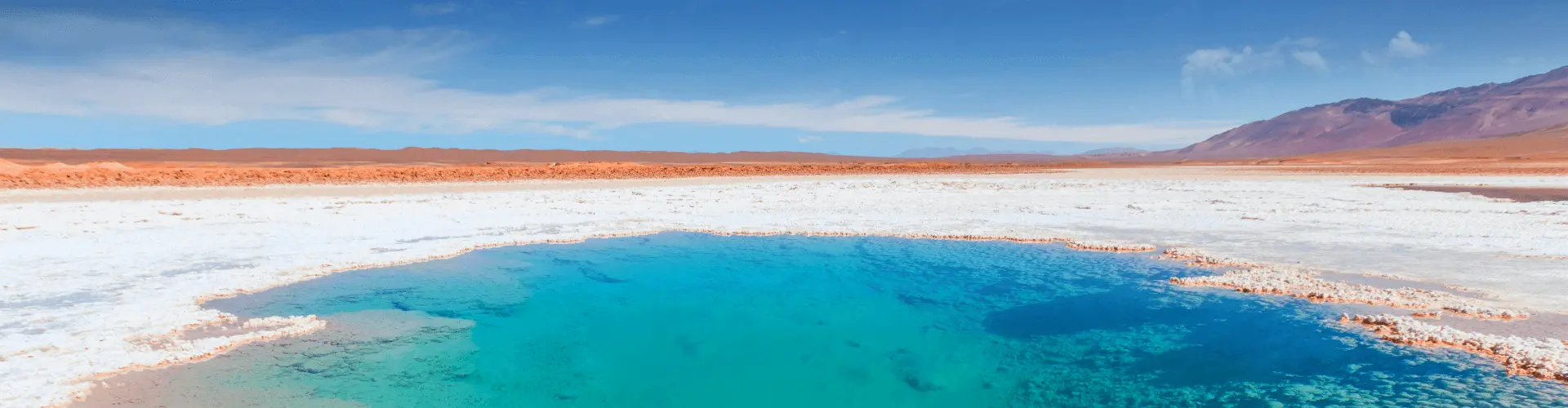 Banner image WeDiscover