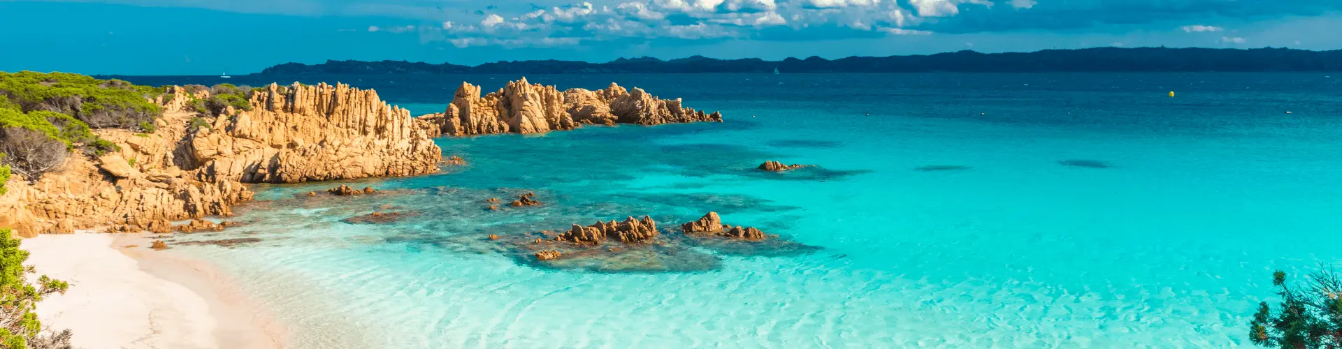 Banner image WeDiscover